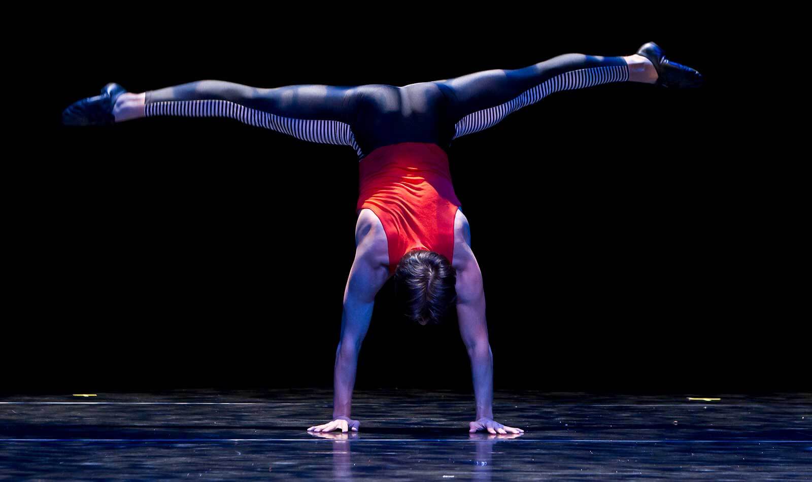 Jekyns Pelez in Haringduet by Carrie Diamond, October, 2010
